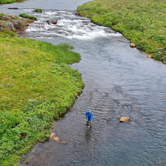 Flugfiskare vadar i en klar bäck mellan gröna gräsbankar på Island