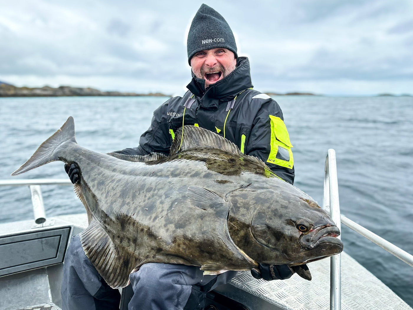 Hälleflundra fångad under havsfiske i Nappstraumen, Lofoten