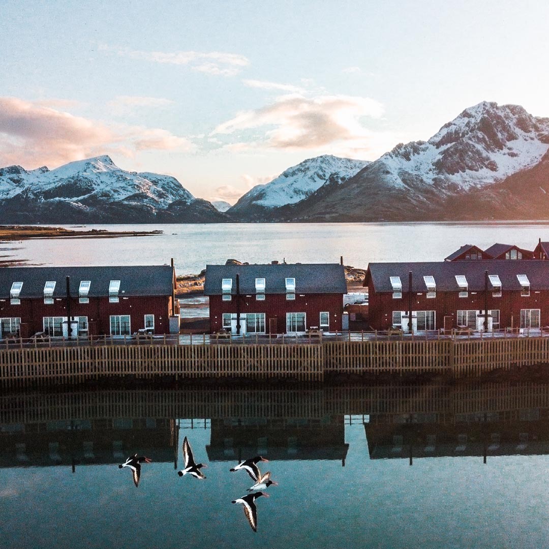 Rorbuer vid havet i Nappstraumen, Lofoten