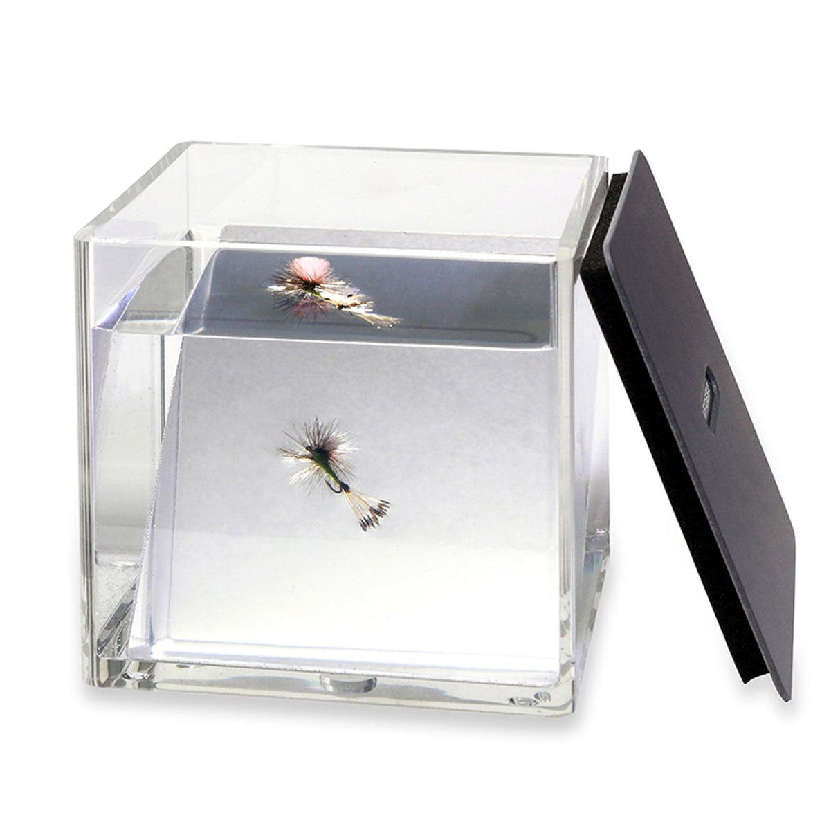 C&F Design Fish Eye - N/A