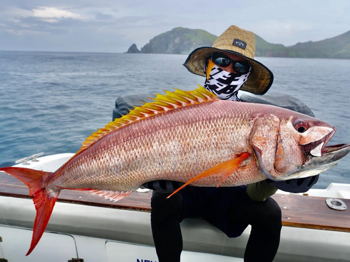 Rusty Jobfish fångad under en fiskeresa till Komodo i Indonesien.