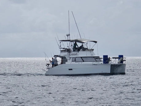 Vakna mitt i fisket – så funkar en liveaboard på Seychellerna