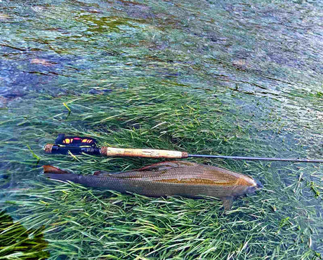 Tips på fiskeresor utomlands för flugfiskare