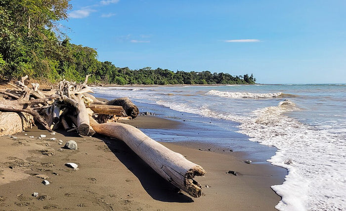 Avlägsen strand i Costa Rica perfekt för sportfiske