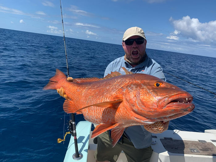 fish drake bay reel escape Fishing trip Costa Rica