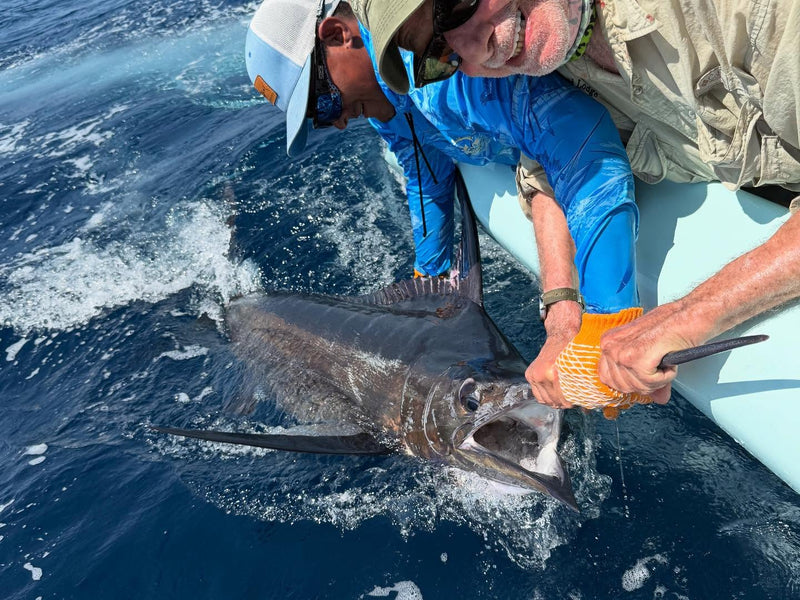 Fångst av stor fisk under tropisk fiskeresa i Costa Rica
