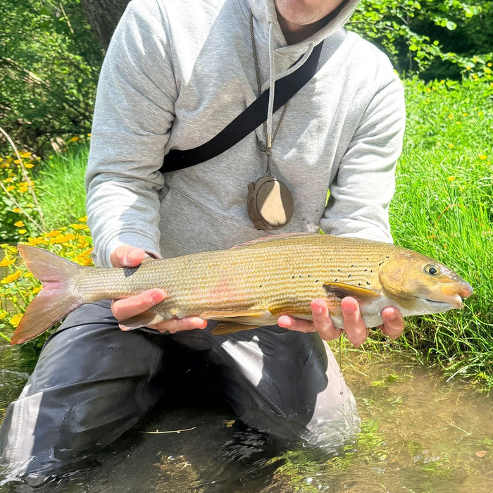 Följare håller stolt upp en harr fångad under Team Baitbox Hosted Trip i Bosnien