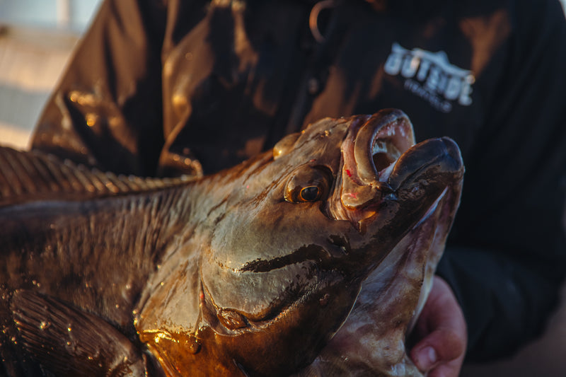 En sportfiskare i mörk jacka håller en stor fisk med öppen mun och visar stolt upp dess blanka fjäll efter lyckad fisketur.