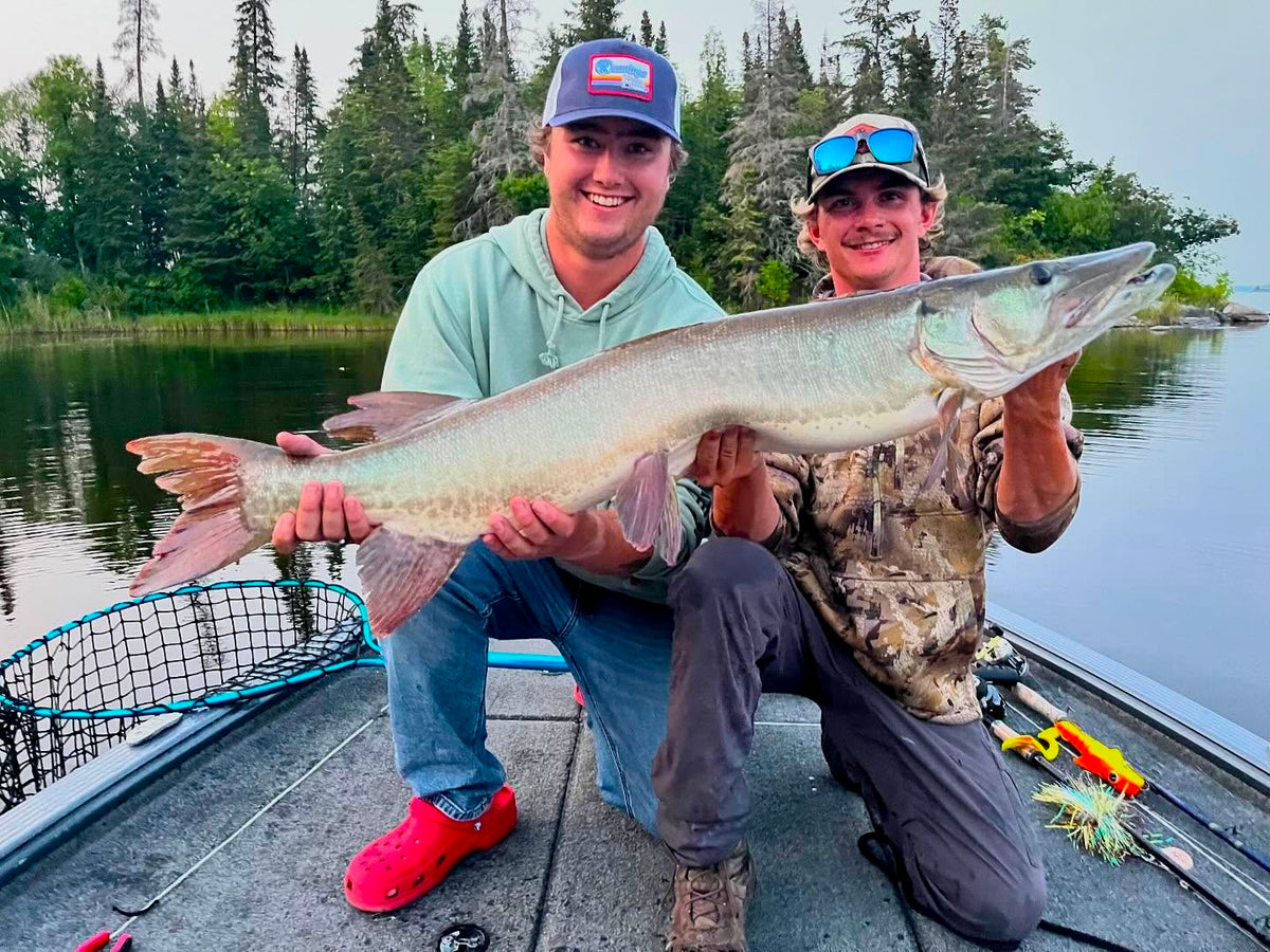 Muskyfiske i Lake of the Woods, Kanada