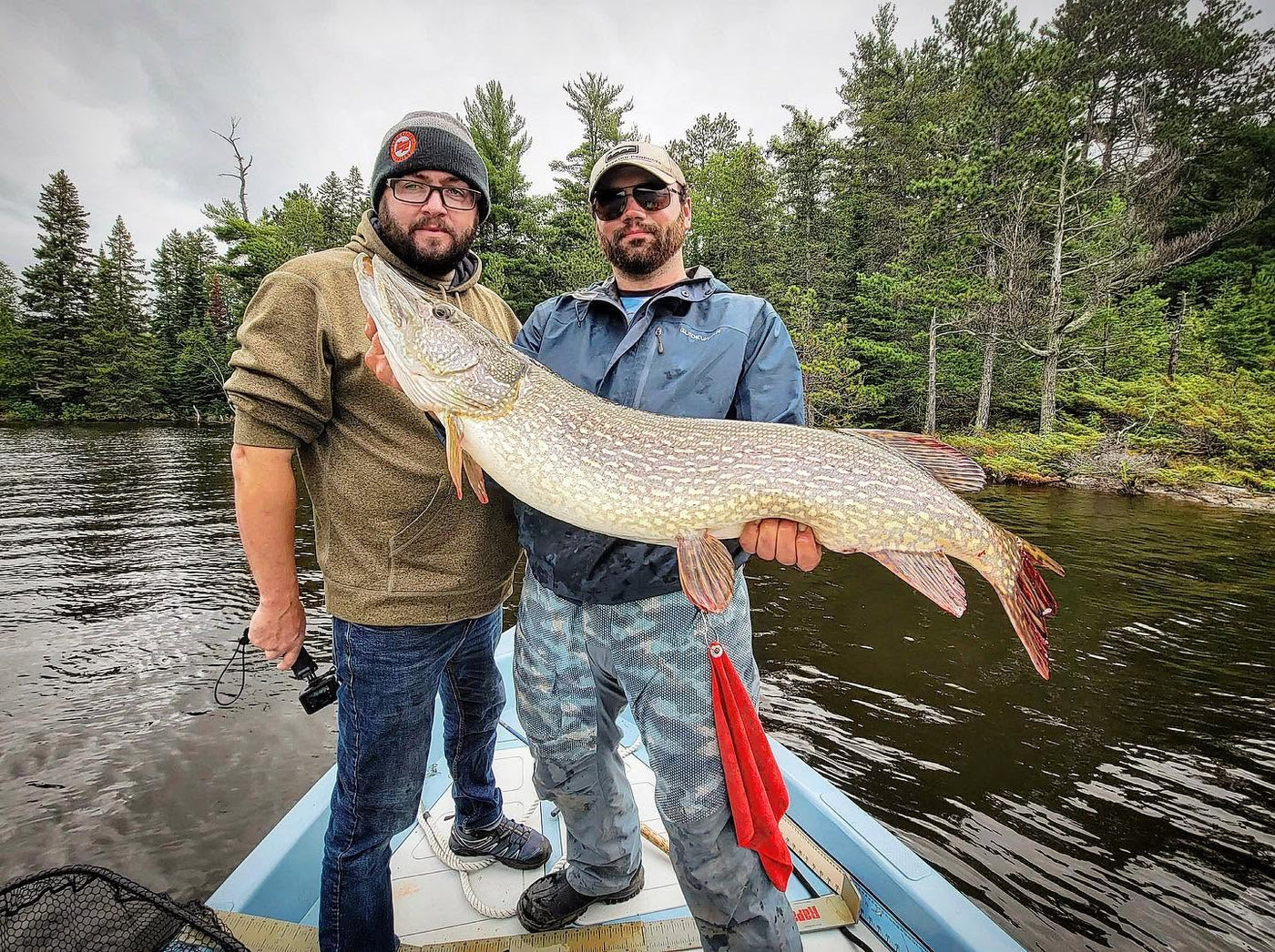Gädda: Gäddfiske i Lake of the Woods i Ontario, Kanada