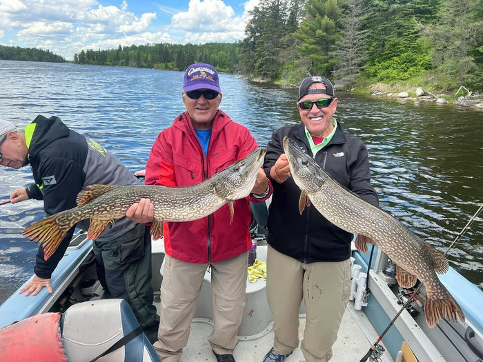 Gäddfiske i Lake of the Woods i Ontario, Kanada