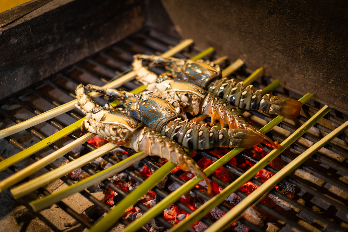 Två råa humrar på gröna bambuspett ligger på grill över glödande kol - perfekt njutning efter en lyckad fiskeresa.