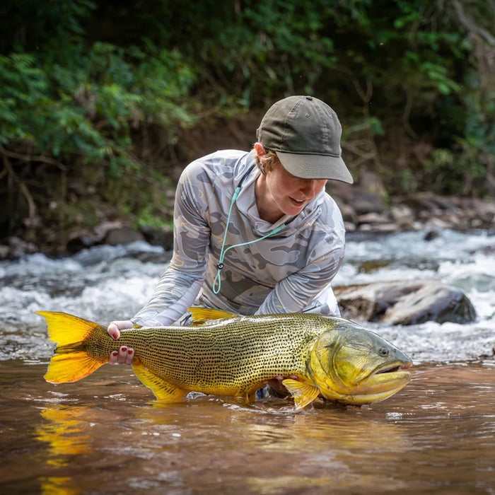 Fiske efter golden dorado i Argentina