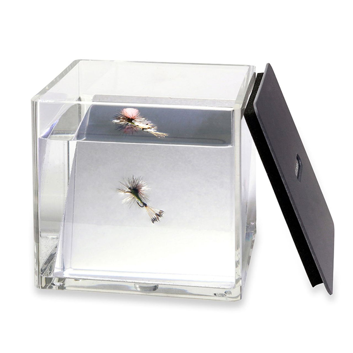 C&F Design Fish Eye - N/A