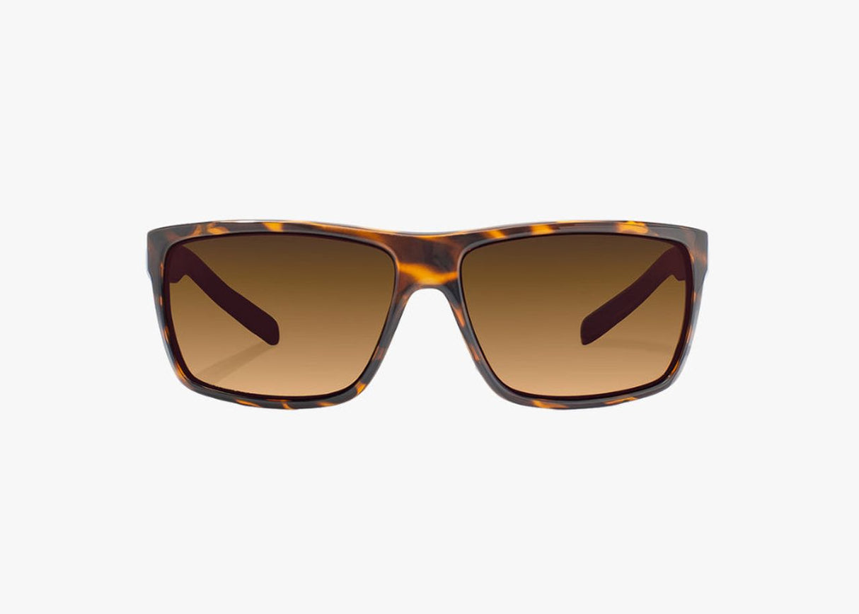 Bajio Sigs - Glass - Brown Tort Gloss Copper