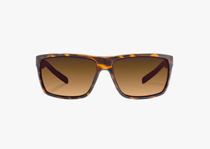 Bajio Sigs - Glass - Brown Tort Gloss Copper