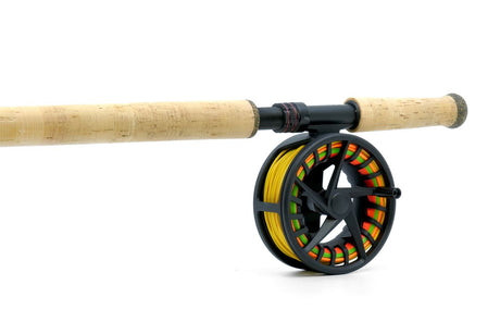 Primal Chromatic 14'0'' #9 OUTFIT - N/A