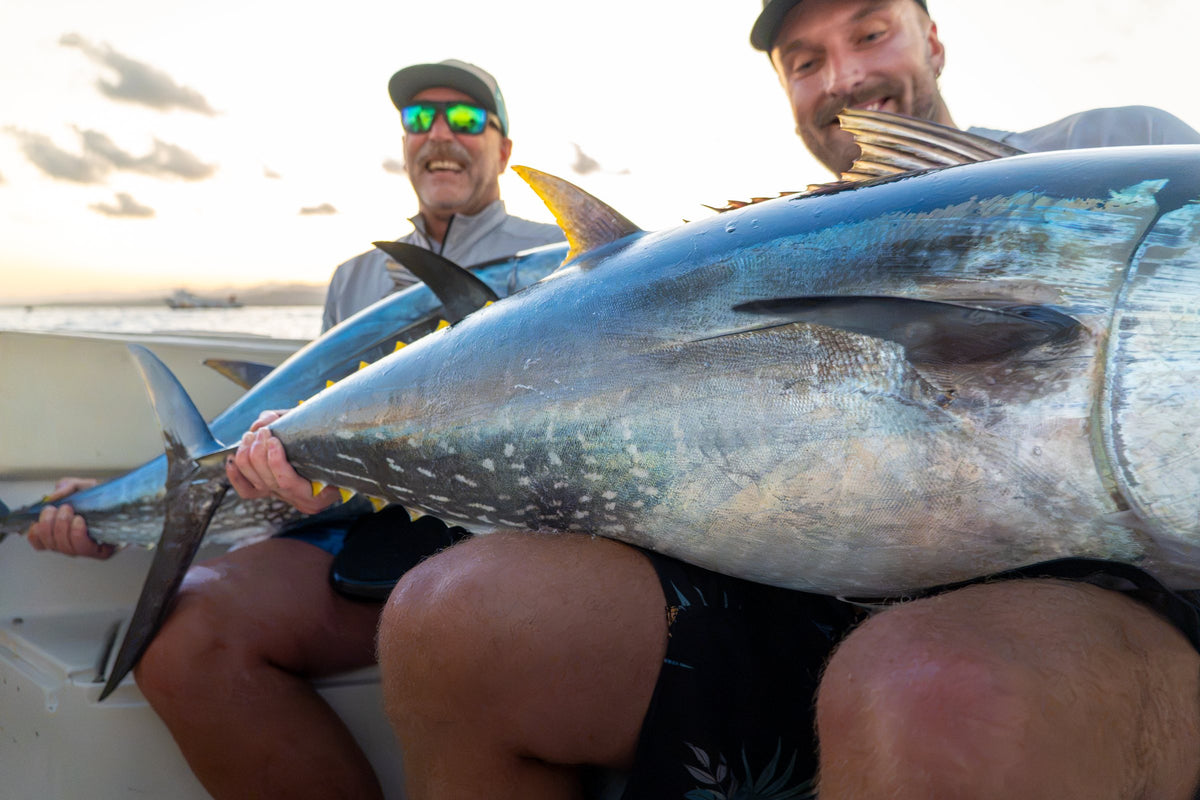 Två skrattande fiskare lyfter en stor blåfenad tonfisk i båten i kvällsljuset på Medelhavet i Spanien