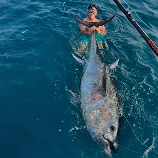 Sportfiskare i badbyxor fiskar med spö bredvid stor tonfisk i klart vatten på Fiskeresa Ebrodeltat, Spanien.
