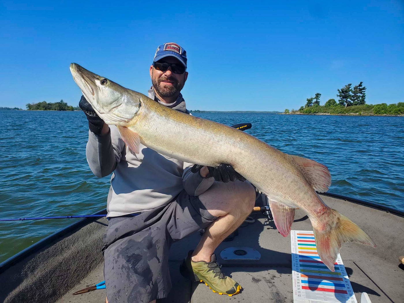 Fiskare med stor kanadensisk musky vid Lake of the Woods