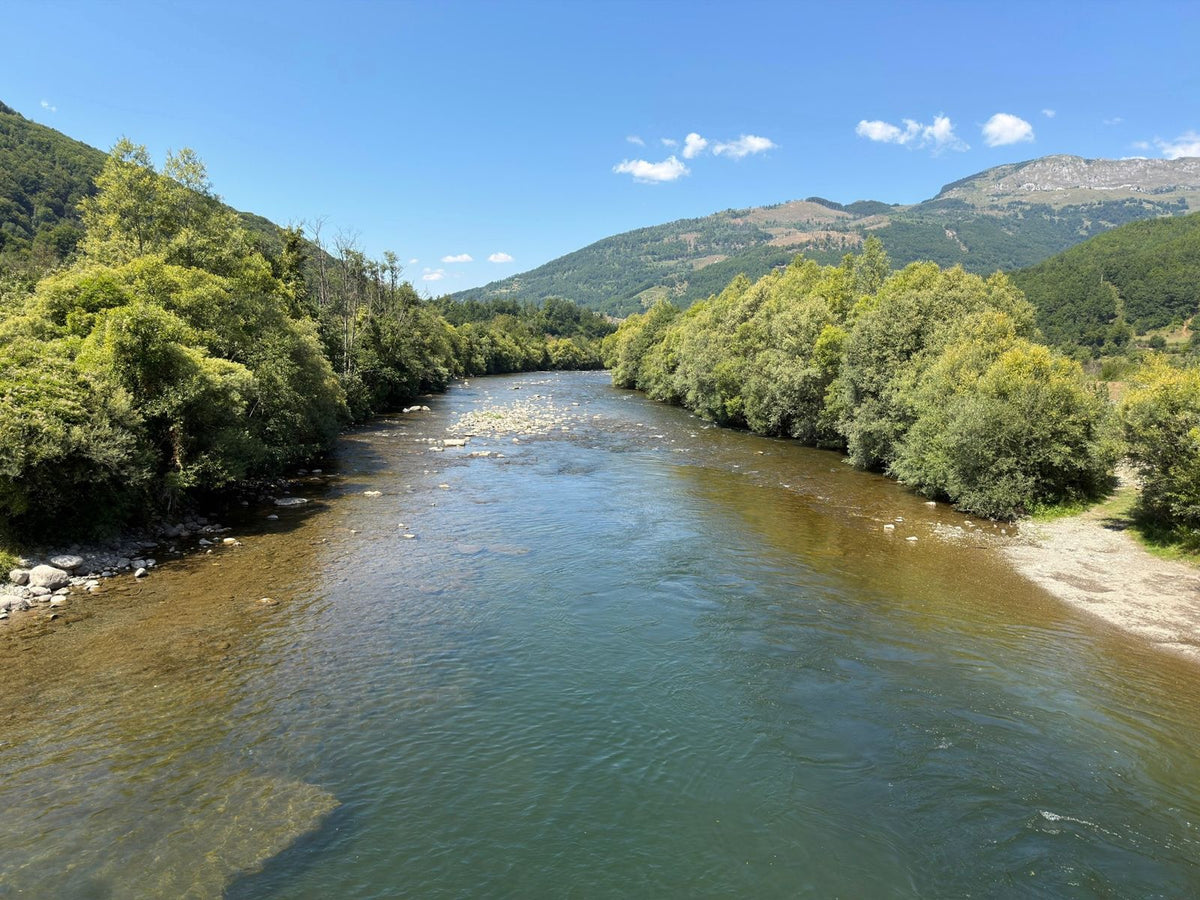 Der Fluss Lim mit Kiesbänken und üppigem Grün zwischen den Bergen im Norden Montenegros