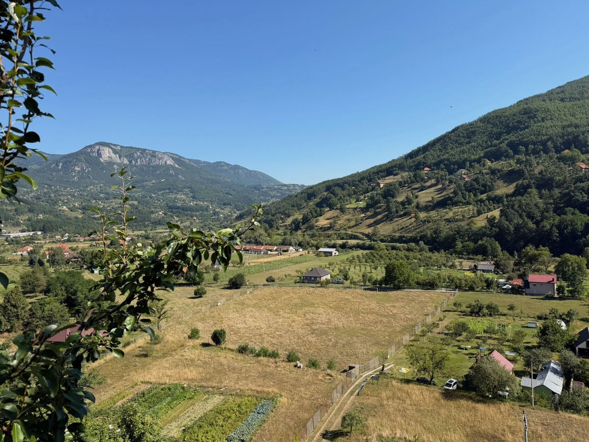 Blick auf ein grünes Tal mit Höfen und Bergen im Norden Montenegros, von der Unterkunft aus gesehen